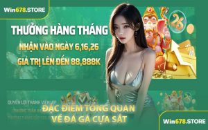 Đặc điểm tổng quan về đá gà cựa sắt